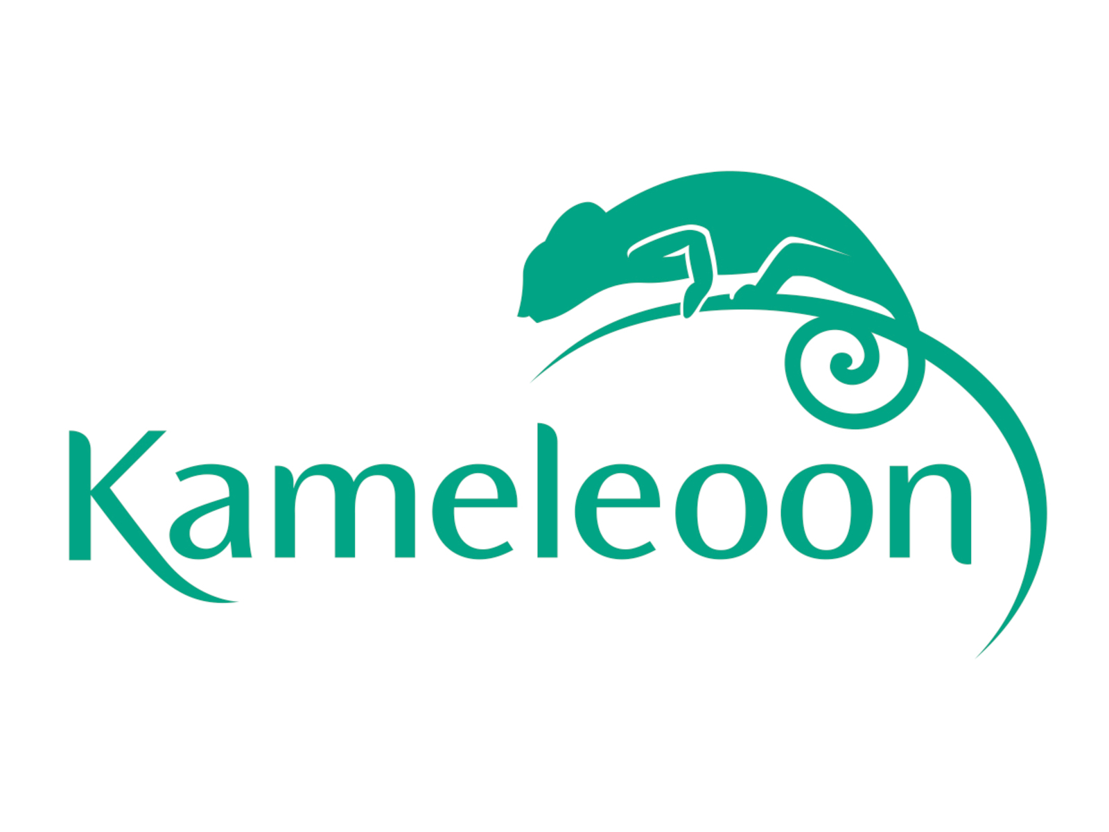 Kameleoon : Rendez l’expérience de vos visiteurs unique !